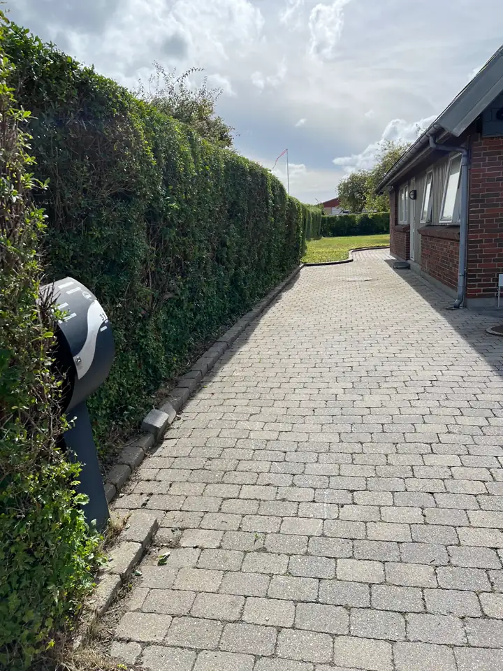 Havemand fjerner ukrudt langs en flisegang ved hækken